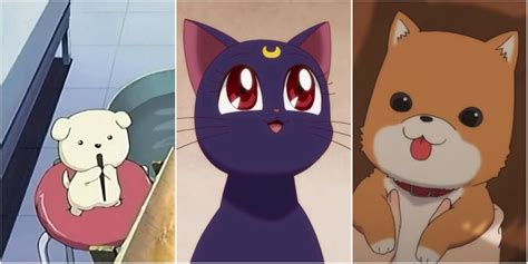 animales anime|Top 10 Cutest Anime Animals Of All Time, Ranked .